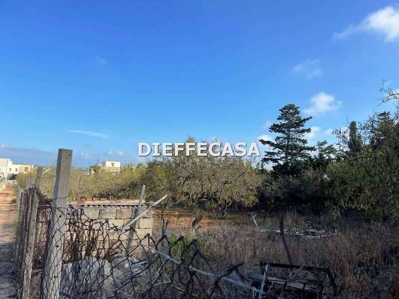 foto principale del terreno