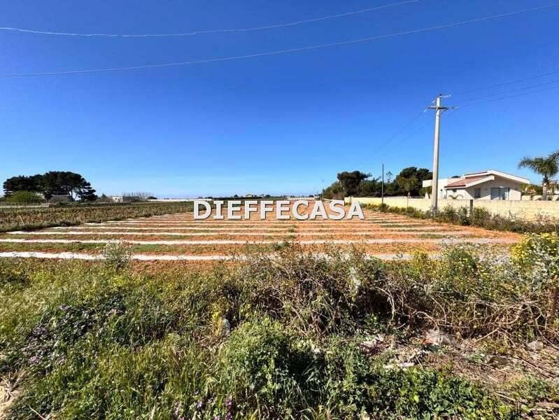 foto principale del terreno
