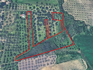 foto principale del terreno