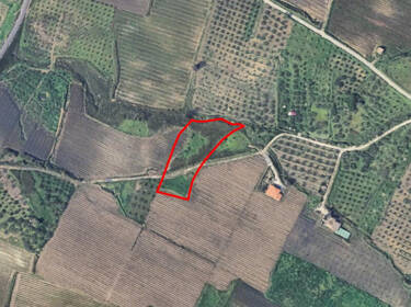 foto principale del terreno