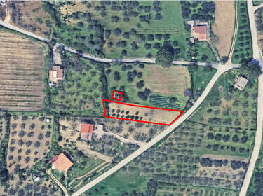 foto principale del terreno