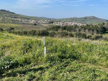 foto principale del terreno