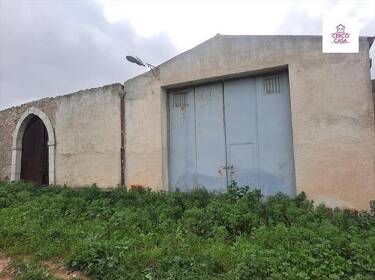 foto principale del terreno