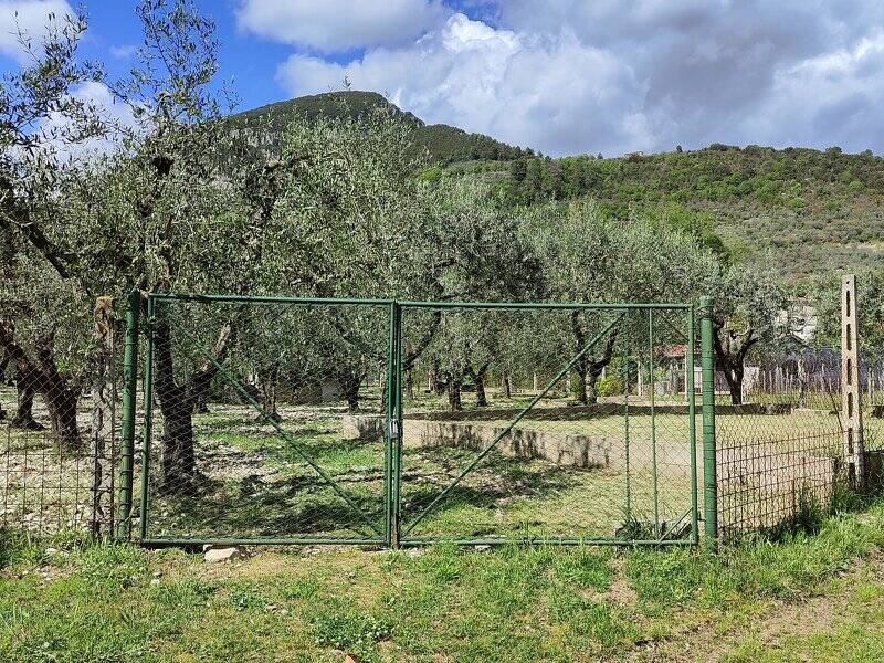 foto principale del terreno