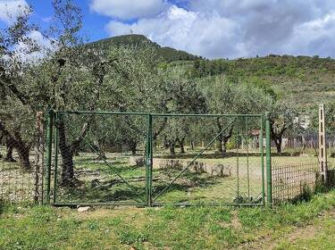 foto principale del terreno