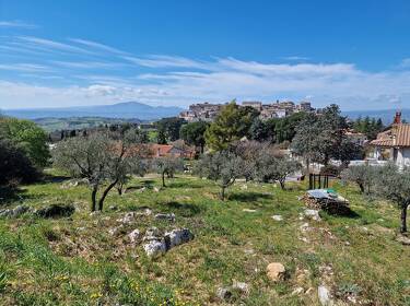 foto principale del terreno