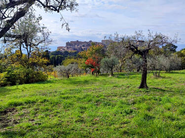 foto principale del terreno