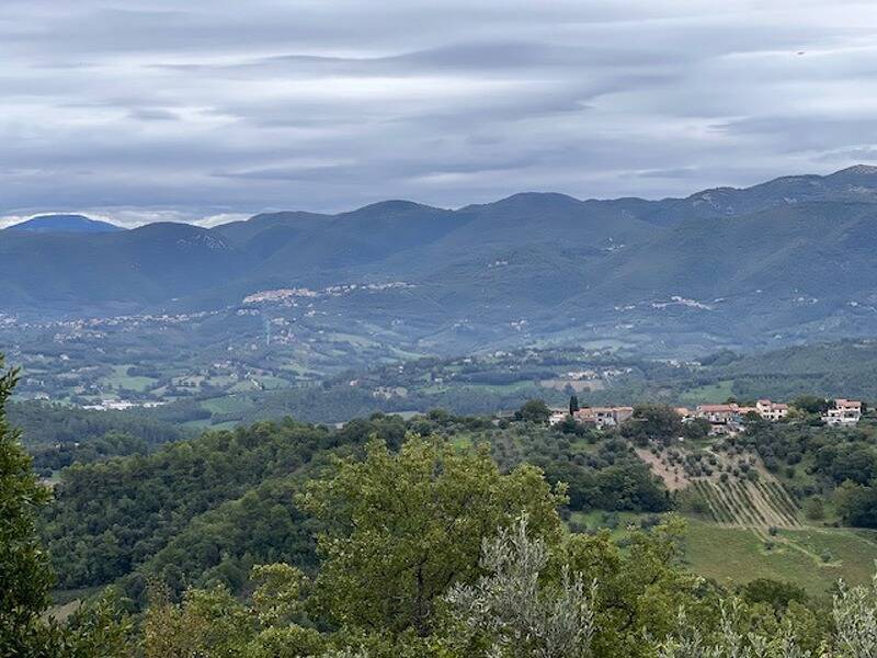 foto principale del terreno