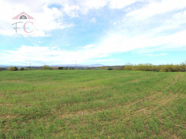 foto principale del terreno