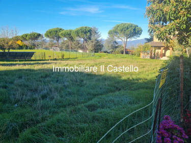 foto principale del terreno