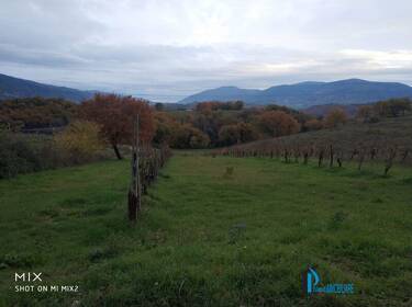 foto principale del terreno