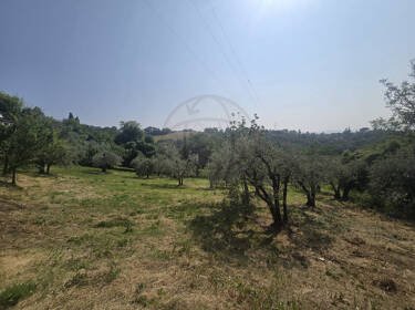 foto principale del terreno