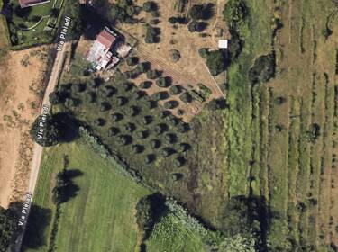 foto principale del terreno