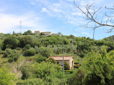 foto principale del terreno