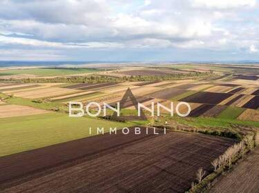 foto principale del terreno