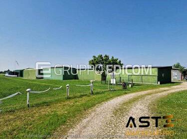 foto principale del terreno