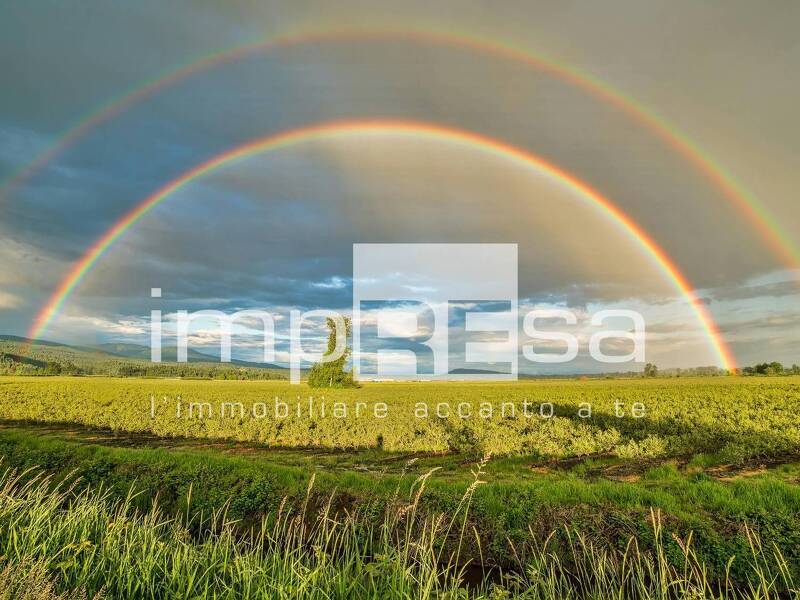foto principale del terreno