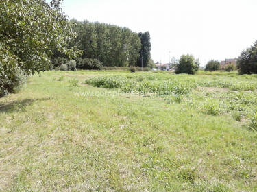 foto principale del terreno