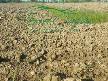 foto principale del terreno