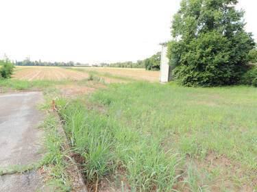 foto principale del terreno