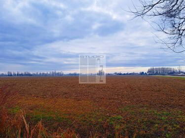 foto principale del terreno