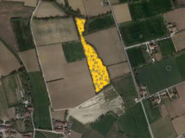 foto principale del terreno