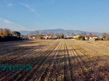 foto principale del terreno