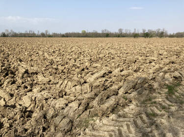 foto principale del terreno