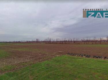 foto principale del terreno