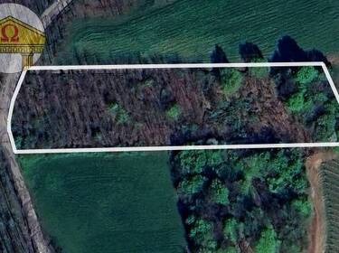 foto principale del terreno