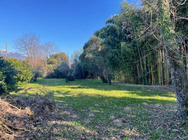 foto principale del terreno