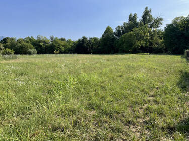 foto principale del terreno