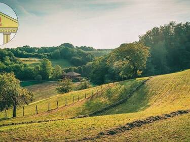 foto principale del terreno