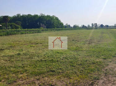 foto principale del terreno