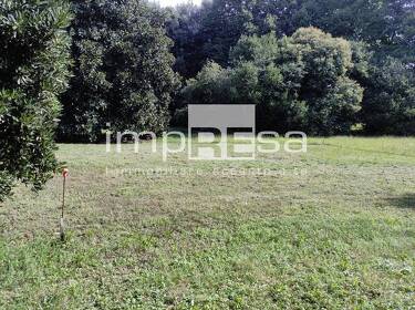 foto principale del terreno