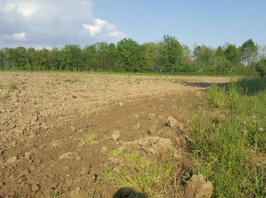 foto principale del terreno
