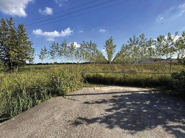 foto principale del terreno