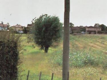 foto principale del terreno