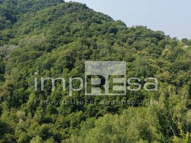 foto principale del terreno