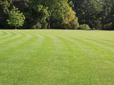 foto principale del terreno