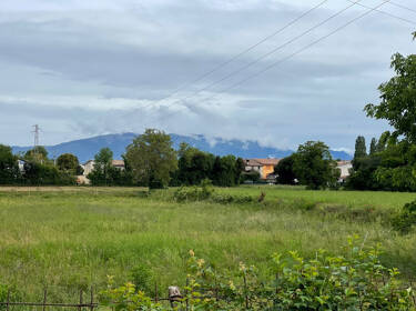 foto principale del terreno