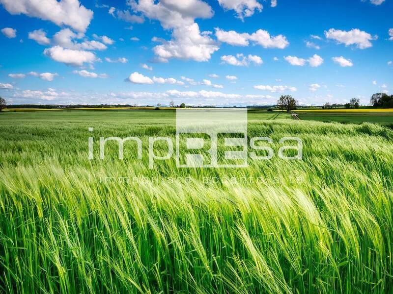foto principale del terreno