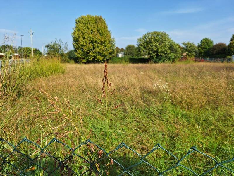 foto principale del terreno