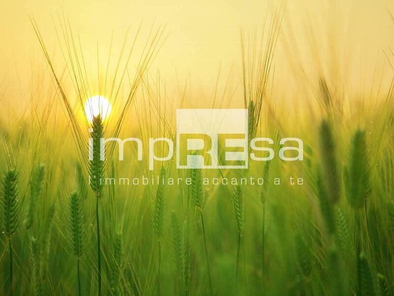 foto principale del terreno
