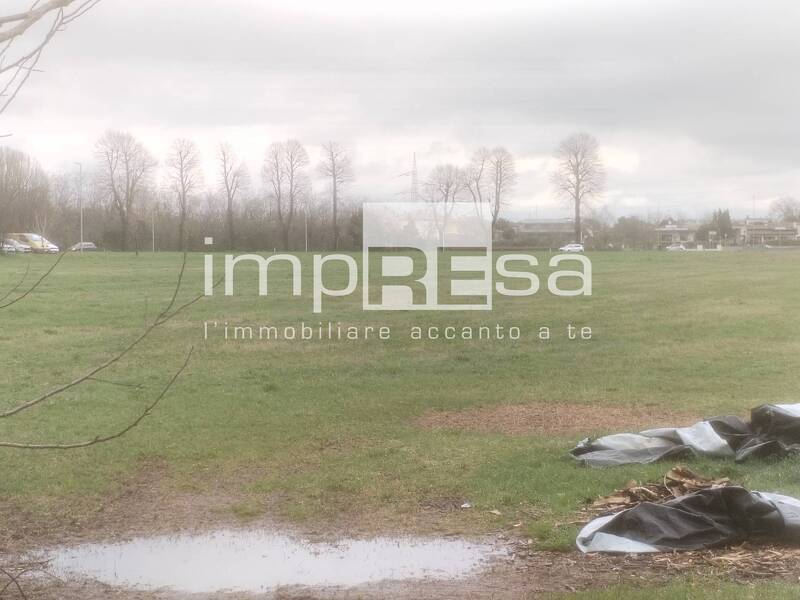 foto principale del terreno