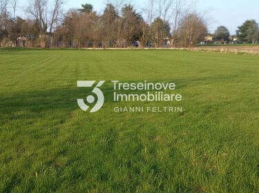 foto principale del terreno