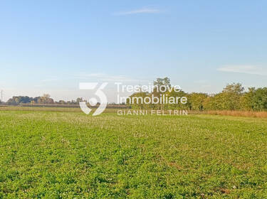 foto principale del terreno