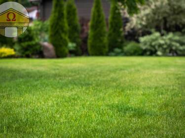 foto principale del terreno