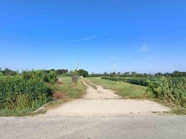 foto principale del terreno