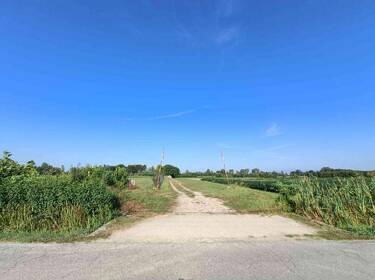 foto principale del terreno